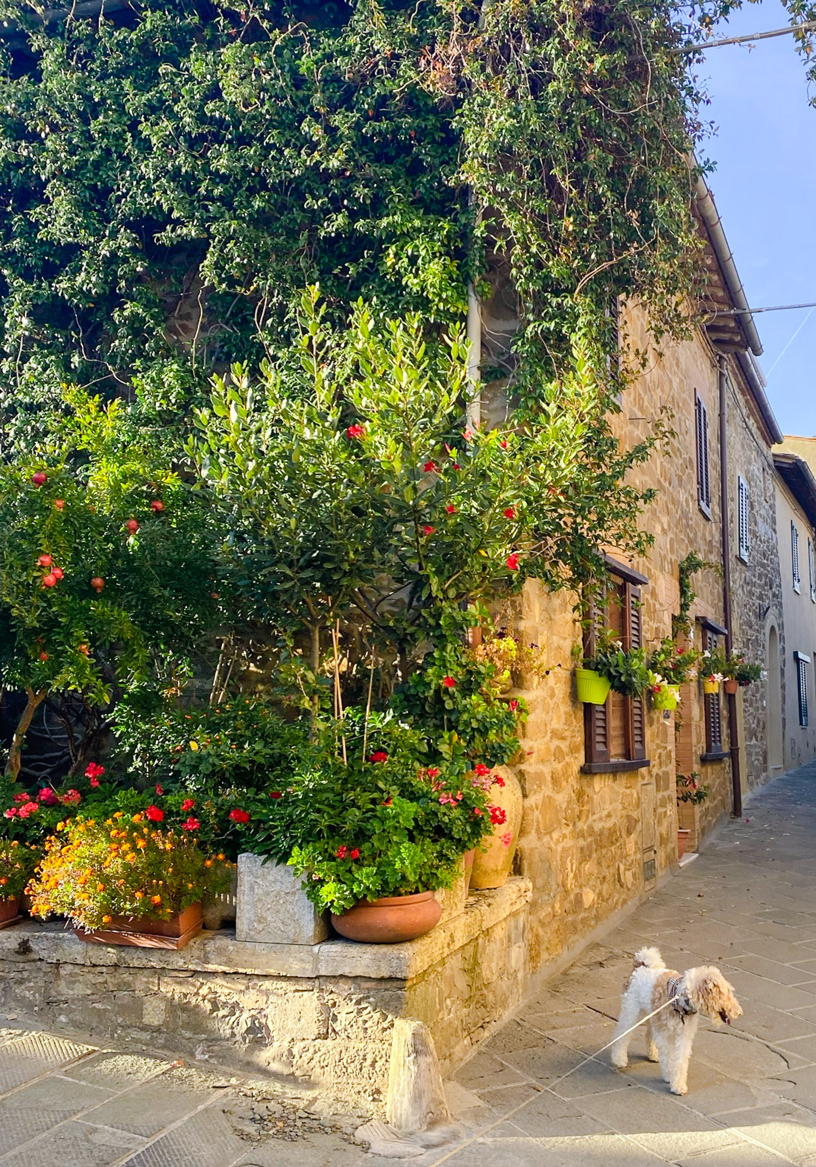 All About Montalcino, Italy: A Complete Guide