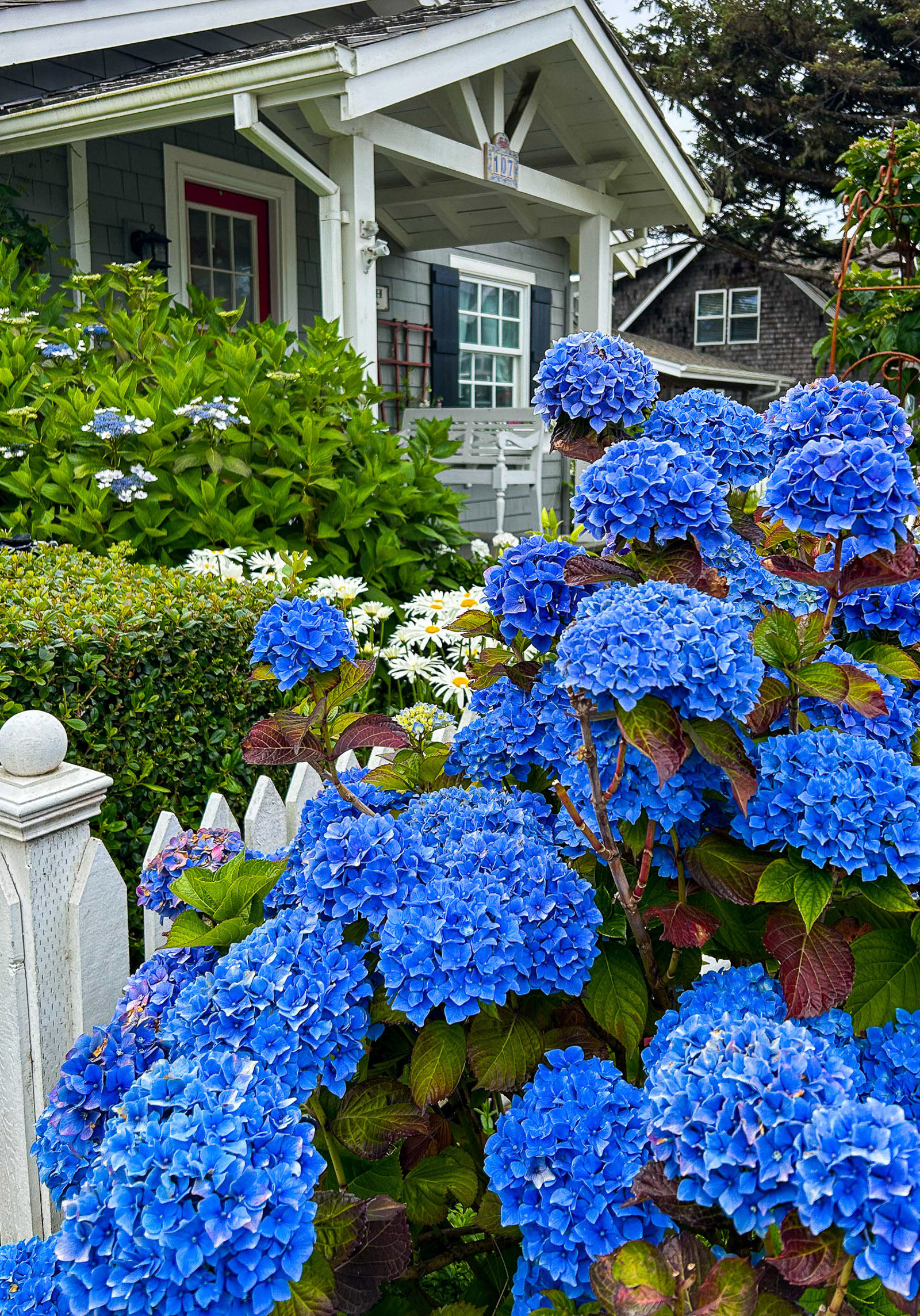 The Cannon Beach Travel Guide