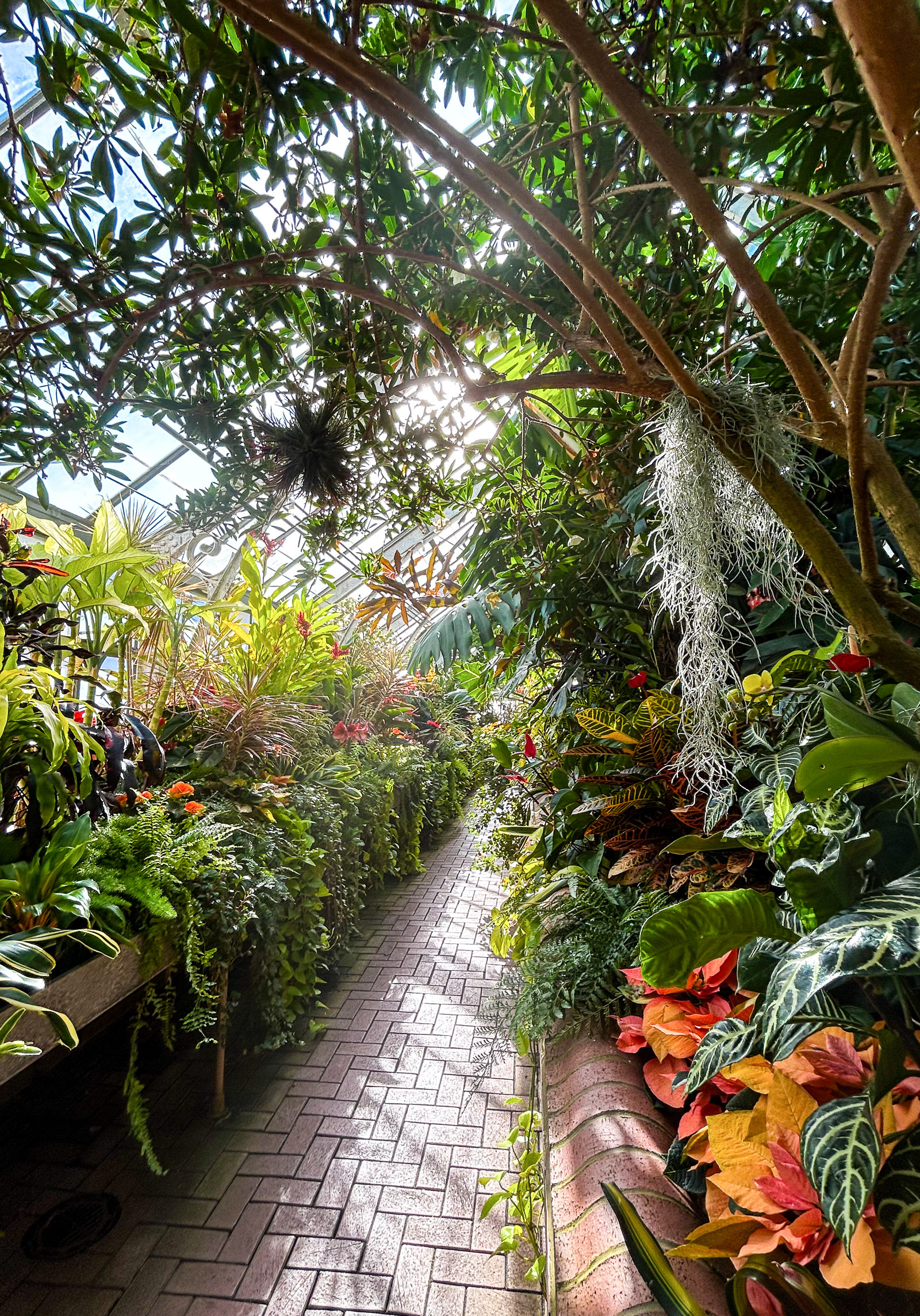 A Complete Guide to Visiting the Biltmore Conservatory